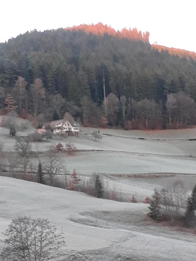 Isoldes Landhaus ไบเออร์สบรอนน์ ภายนอก รูปภาพ